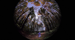 Тэргэл сартай байгалийн зураг загасны нүдэн одтикоор харахад