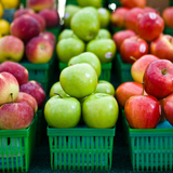 Алимны төрлүүд