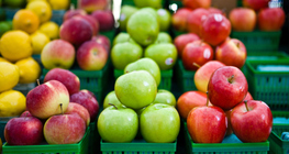 Алимны төрлүүд