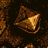 Хоолны давсны талстууд