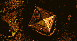 Хоолны давсны талстууд