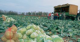 Байцаа хурааж байгаа нь