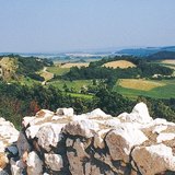 Bakonyi táj