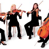 Чавхдаст дөрвөл