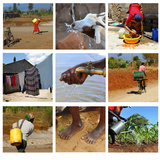 Африк тивд усны хомсдол асар том асуудал үүсгэдэг