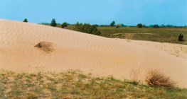 Кискуншагийн элсэн толгод