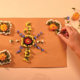 Ханын зураг хийх