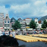 Cheese market in Alkmaar