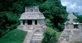 Tropical rainforest with ruins