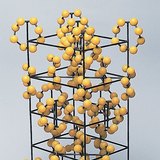 Хүхрийн талст оронт торын бүтэц