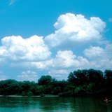 Кумулус үүл