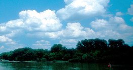 Кумулус үүл