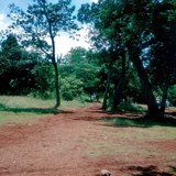 Laterite, the typical soil of the Equatorial belt