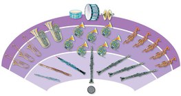 Оркестр - үлээвэр найрал хөгжим