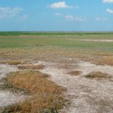 Хужиртай хөрс