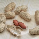 Газрын самар