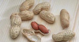 Газрын самар