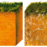 Хөрсний төрлүүд (огтлол)