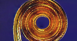 Эрвээхэйн хуйлмал хэл