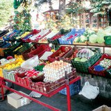 Намрын ургацын ногоо