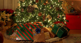 Зул сарын мод