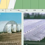 Ногоо тарих арга замууд