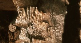 Агуйн багана