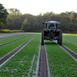 Хөрс боловсруулалт