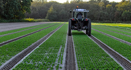 Хөрс боловсруулалт