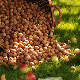 Сагс дүүрэн хушга