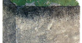 Чернозем хөрс