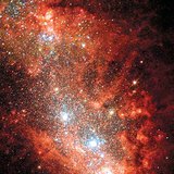 Nascent stars in a dwarf galaxy