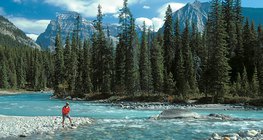 Канадын тайга