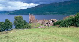 Далайн цаг уурын бүс дэх ногоон нуга