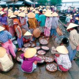 Вьетнам дахь загасны зах