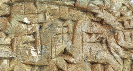 Шумерын шаантаг бичиг