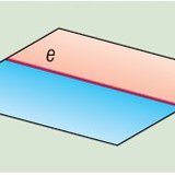 Хагас хавтгай