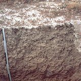 Давслаг хөрсний төлөв байдал