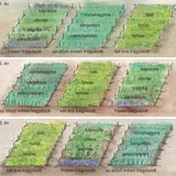 Vetésforgó a veteményeskertben