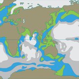 Усны шим тэжээлийн агууламж