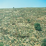 Чулуурхаг цөл