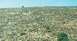 Чулуурхаг цөл