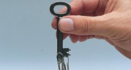 Соронзон орны нөлөөгөөр төмрийг соронзуулж болно.