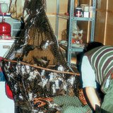 Хараацайг бөгжлөн тэмдэглэх