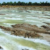 Түр зуур үүсэх нууруудын ууршилтаас үүссэн давсан давхарга