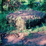 Компост, бордоо хийх явц