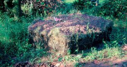 Компост, бордоо хийх явц