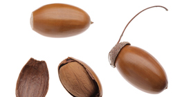 Царсны боргоцой