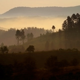 Манант өглөө