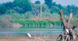 Бага Балатон